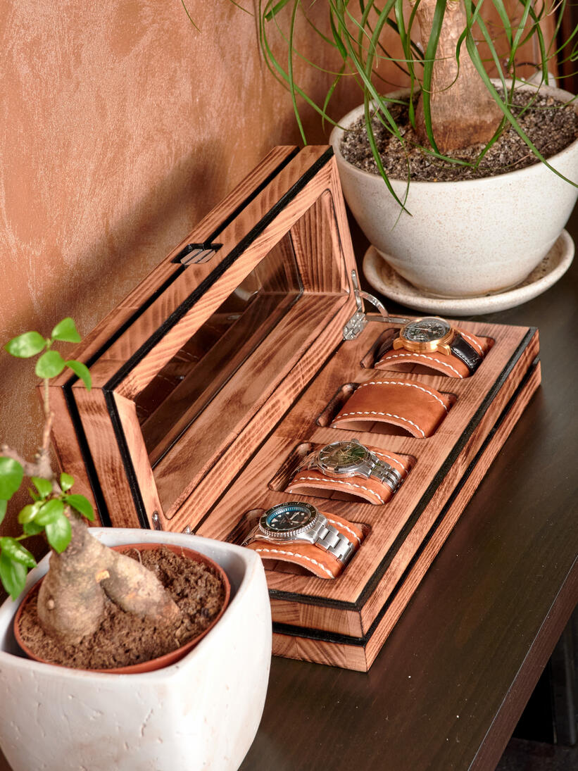 Watch Box